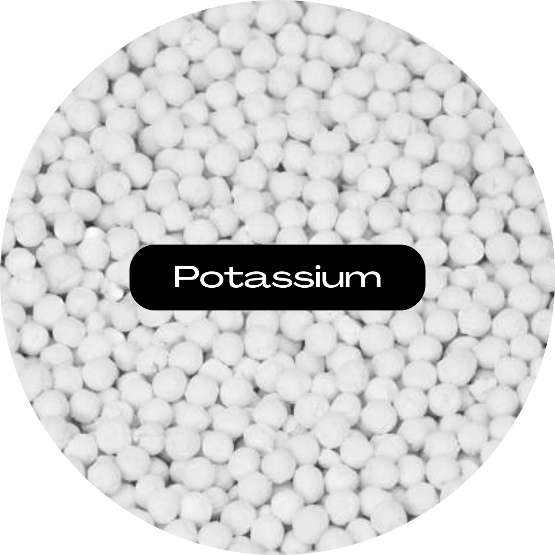 White potassium pellets with a black label in the center.